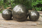 Polished Pharaoh Stone Spheres x 3 From Zimbabwe - Toprock Gemstones and Minerals 