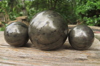 Polished Pharaoh Stone Spheres x 3 From Zimbabwe - Toprock Gemstones and Minerals 