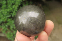 Polished Pharaoh Stone Spheres x 3 From Zimbabwe - Toprock Gemstones and Minerals 
