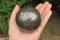 Polished Pharaoh Stone Spheres x 3 From Zimbabwe - Toprock Gemstones and Minerals 