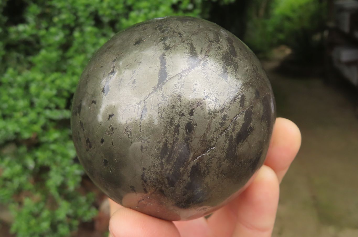 Polished Pharaoh Stone Spheres x 3 From Zimbabwe - Toprock Gemstones and Minerals 