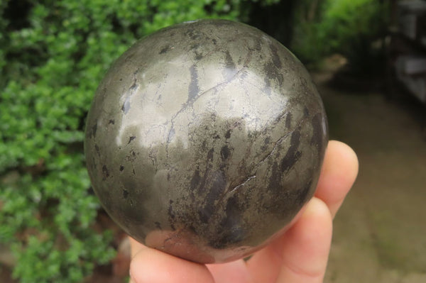 Polished Pharaoh Stone Spheres x 3 From Zimbabwe - Toprock Gemstones and Minerals 