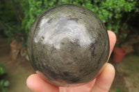 Polished Pharaoh Stone Spheres x 3 From Zimbabwe - Toprock Gemstones and Minerals 