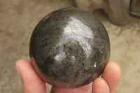 Polished Pharaoh Stone Spheres x 3 From Zimbabwe - Toprock Gemstones and Minerals 