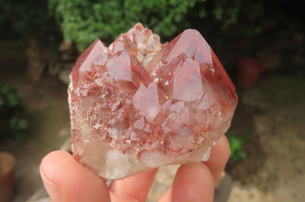 Natural Red Hematoid Quartz Clusters x 6 From Karoi, Zimbabwe - Toprock Gemstones and Minerals 