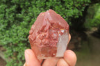 Natural Red Hematoid Quartz Clusters x 6 From Karoi, Zimbabwe - Toprock Gemstones and Minerals 