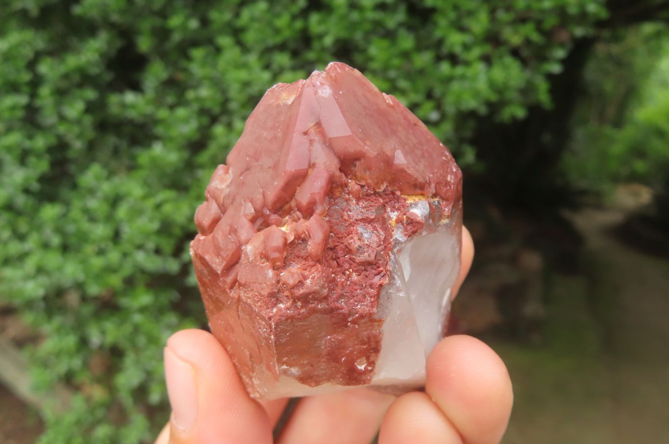 Natural Red Hematoid Quartz Clusters x 6 From Karoi, Zimbabwe - Toprock Gemstones and Minerals 