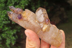 Natural Chiredzi Amethyst Conglomerate Specimens x 6 From Chiredzi, Zimbabwe - Toprock Gemstones and Minerals 
