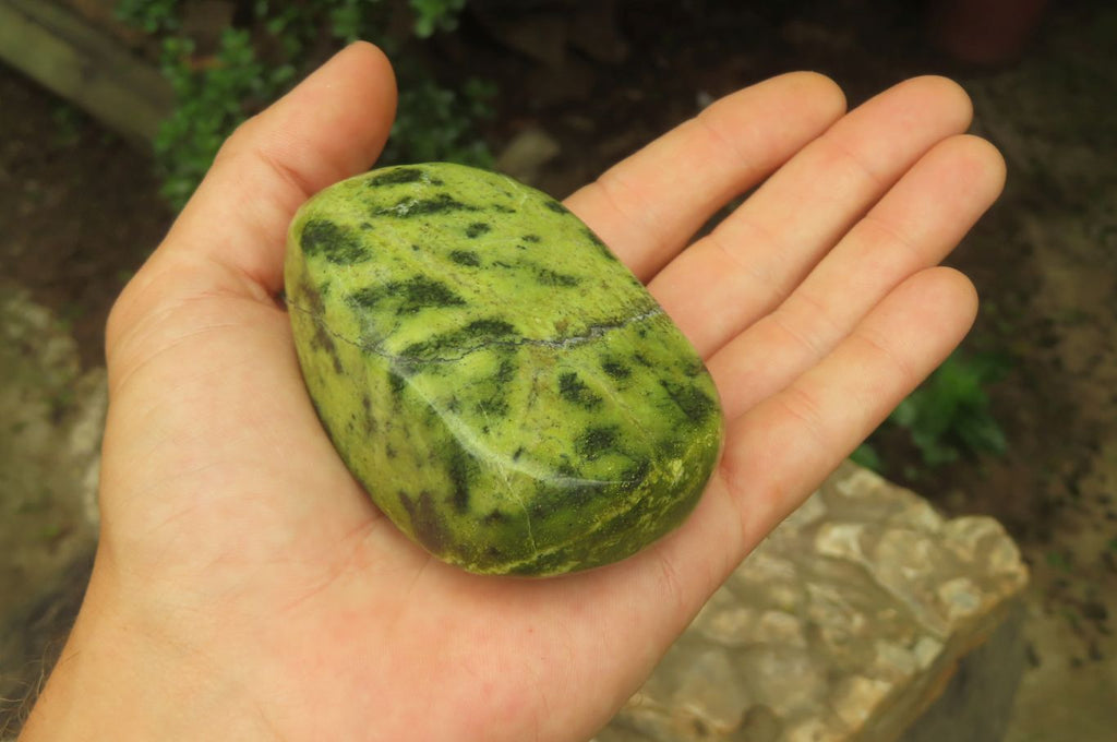 Polished Leopard Stone Palm Stones x 6 From Zimbabwe - Toprock Gemstones and Minerals 