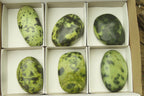 Polished Leopard Stone Palm Stones x 6 From Zimbabwe - Toprock Gemstones and Minerals 