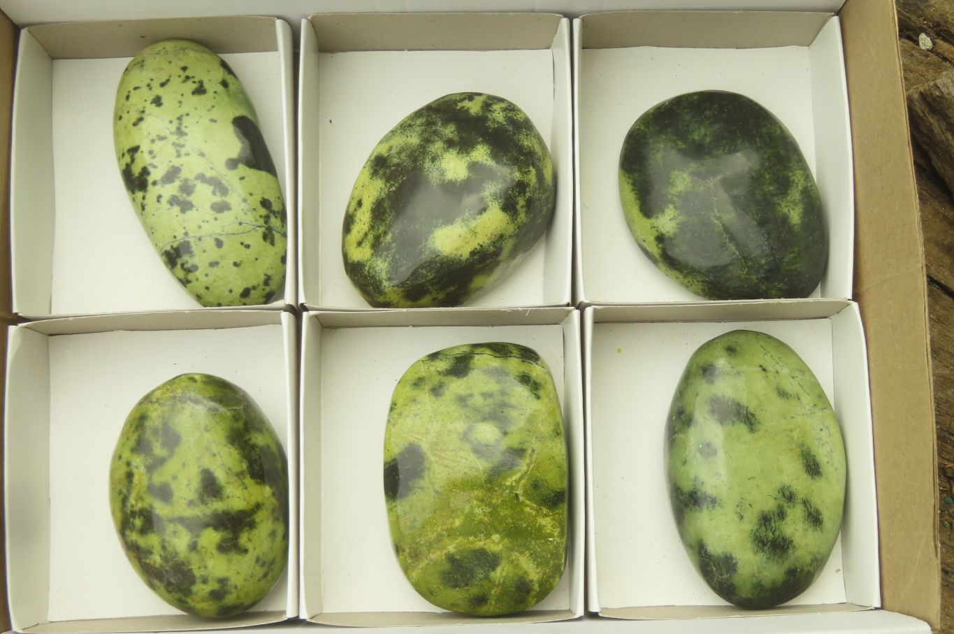 Polished Leopard Stone Palm Stones x 6 From Zimbabwe - Toprock Gemstones and Minerals 