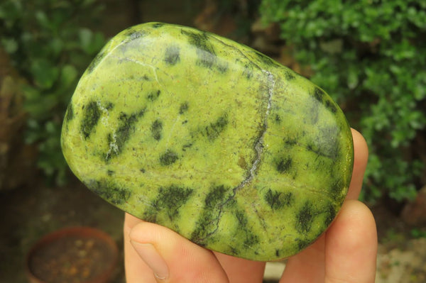 Polished Leopard Stone Palm Stones x 6 From Zimbabwe - Toprock Gemstones and Minerals 
