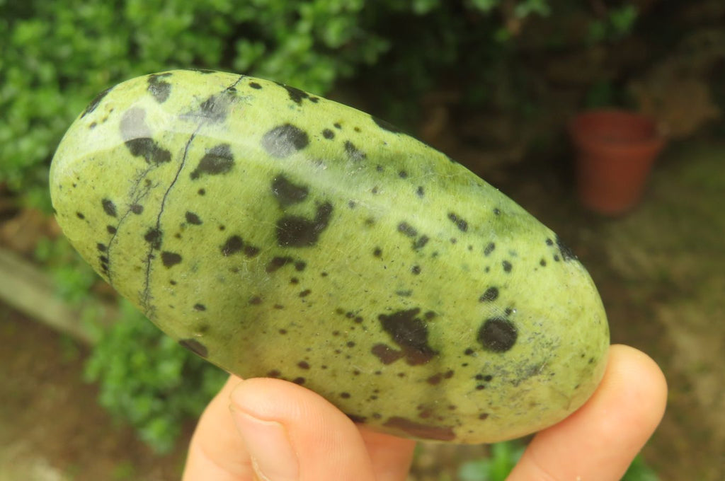 Polished Leopard Stone Palm Stones x 6 From Zimbabwe - Toprock Gemstones and Minerals 
