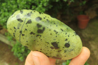 Polished Leopard Stone Palm Stones x 6 From Zimbabwe - Toprock Gemstones and Minerals 
