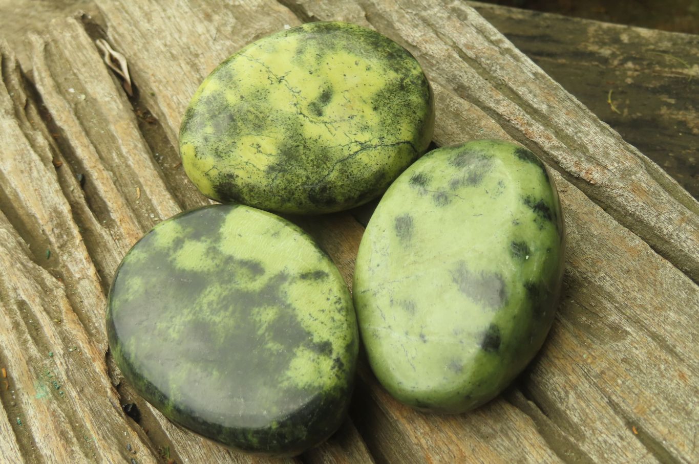 Polished Leopard Stone Palm Stones x 6 From Zimbabwe - Toprock Gemstones and Minerals 