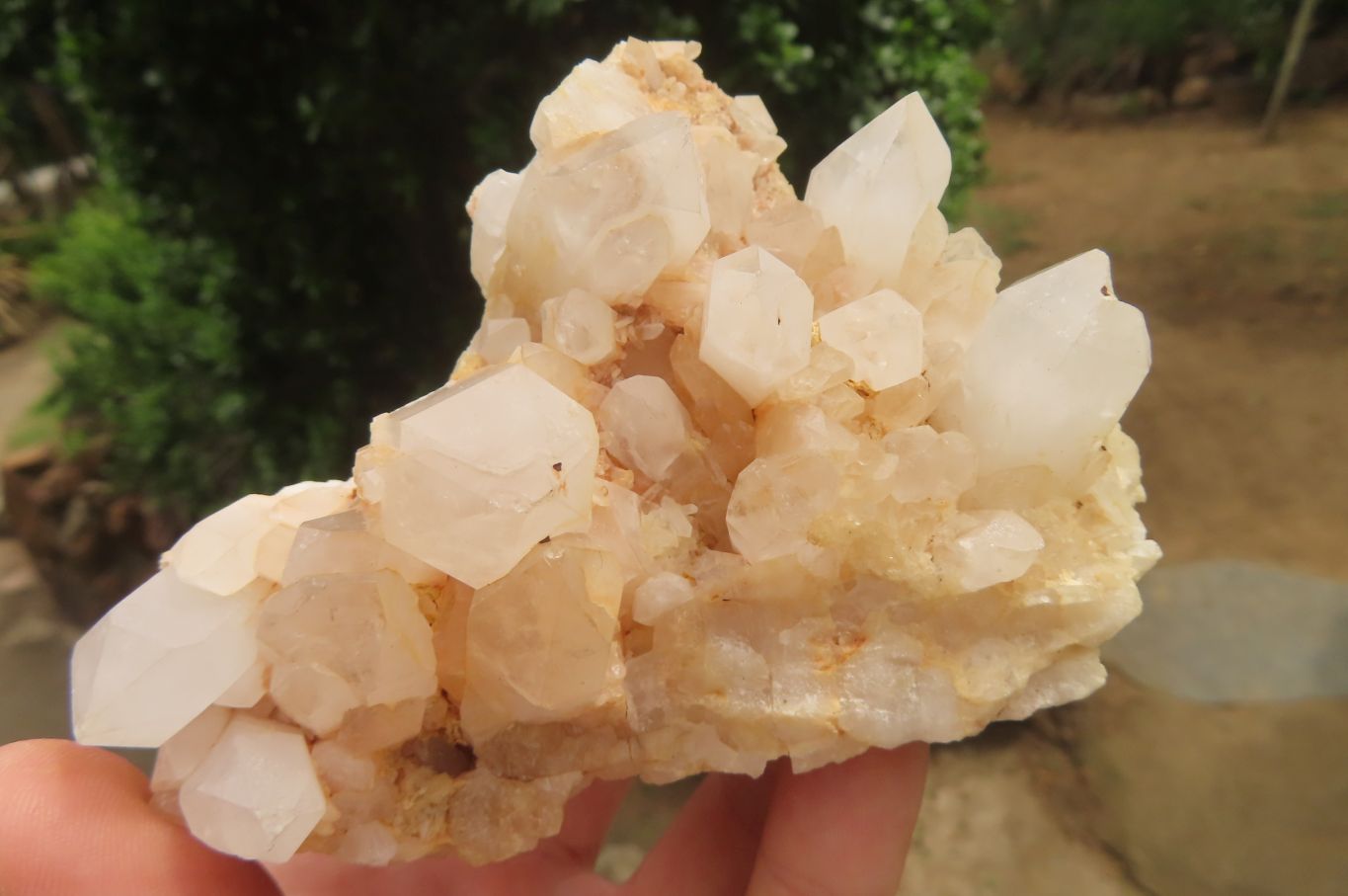 Natural Clear Quartz Clusters x 4 From Madagascar - Toprock Gemstones and Minerals 