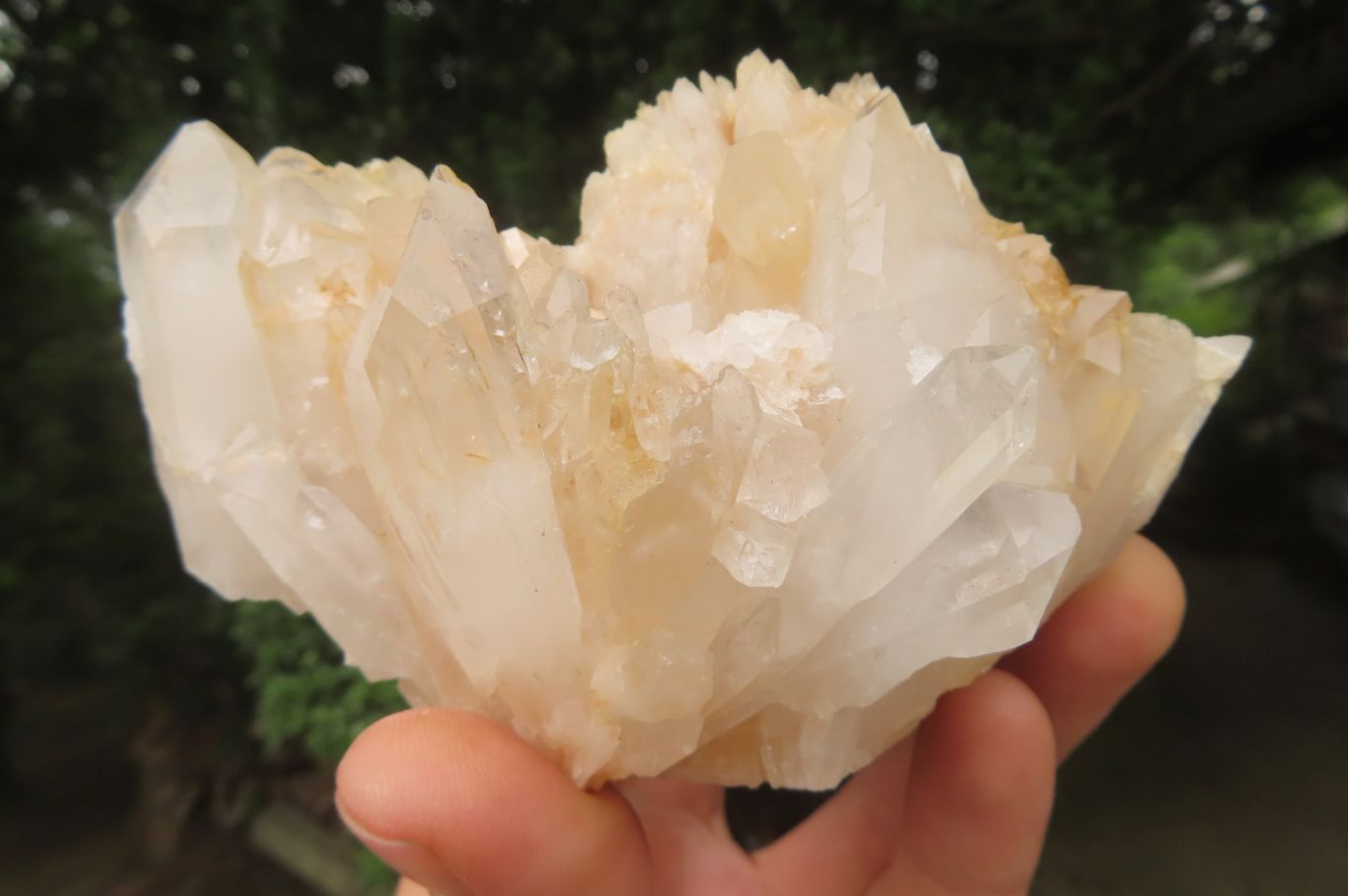 Natural Clear Quartz Clusters x 4 From Madagascar - Toprock Gemstones and Minerals 