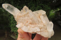 Natural Clear Quartz Clusters x 4 From Madagascar - Toprock Gemstones and Minerals 