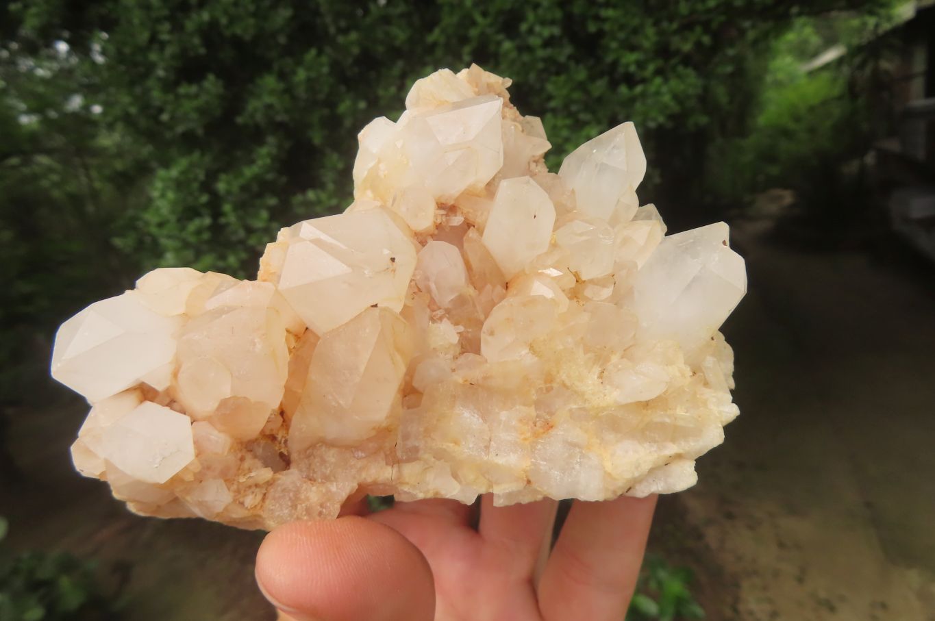 Natural Clear Quartz Clusters x 4 From Madagascar - Toprock Gemstones and Minerals 