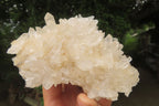 Natural Clear Quartz Clusters x 4 From Madagascar - Toprock Gemstones and Minerals 