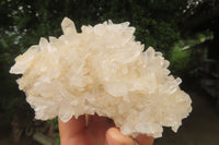 Natural Clear Quartz Clusters x 4 From Madagascar - Toprock Gemstones and Minerals 