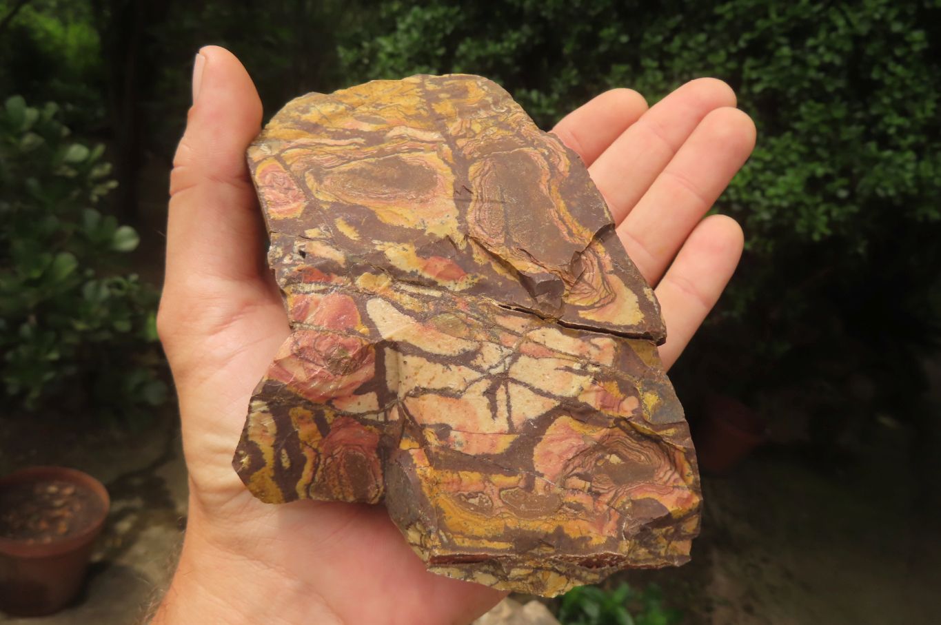 Natural Nguni Jasper Cobbed Specimens x 6 From Prieska, South Africa - Toprock Gemstones and Minerals 