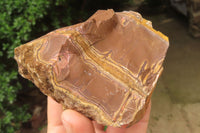 Natural Nguni Jasper Cobbed Specimens x 6 From Prieska, South Africa - Toprock Gemstones and Minerals 