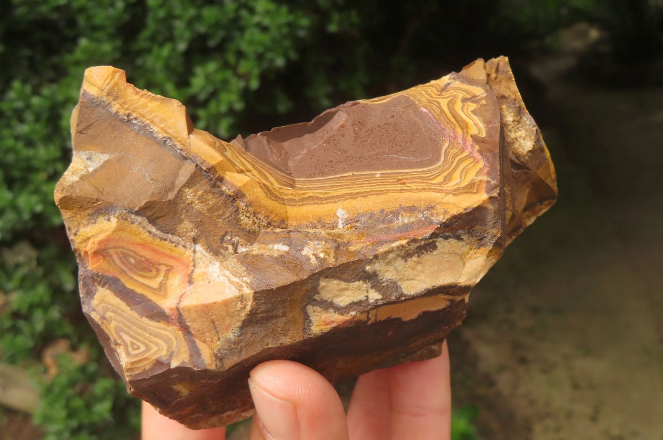 Natural Nguni Jasper Cobbed Specimens x 6 From Prieska, South Africa - Toprock Gemstones and Minerals 