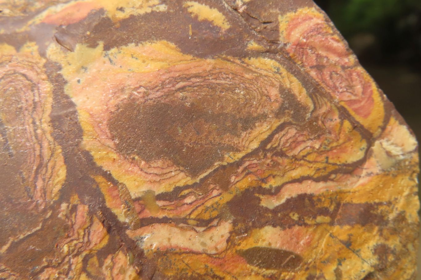 Natural Nguni Jasper Cobbed Specimens x 6 From Prieska, South Africa - Toprock Gemstones and Minerals 