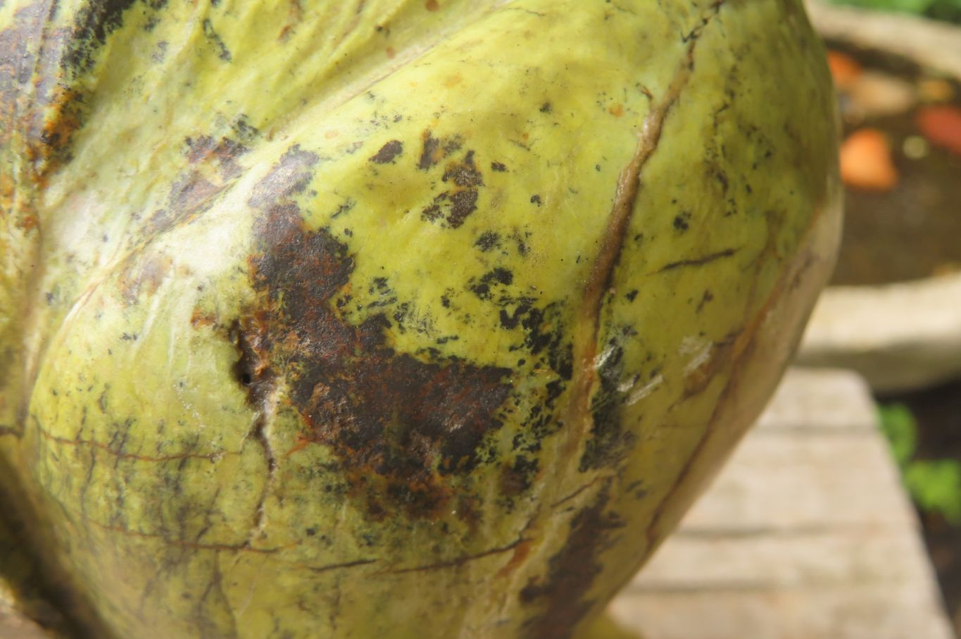 Hand Made Leopard Stone Owl Carving x 1 From Zimbabwe - Toprock Gemstones and Minerals 