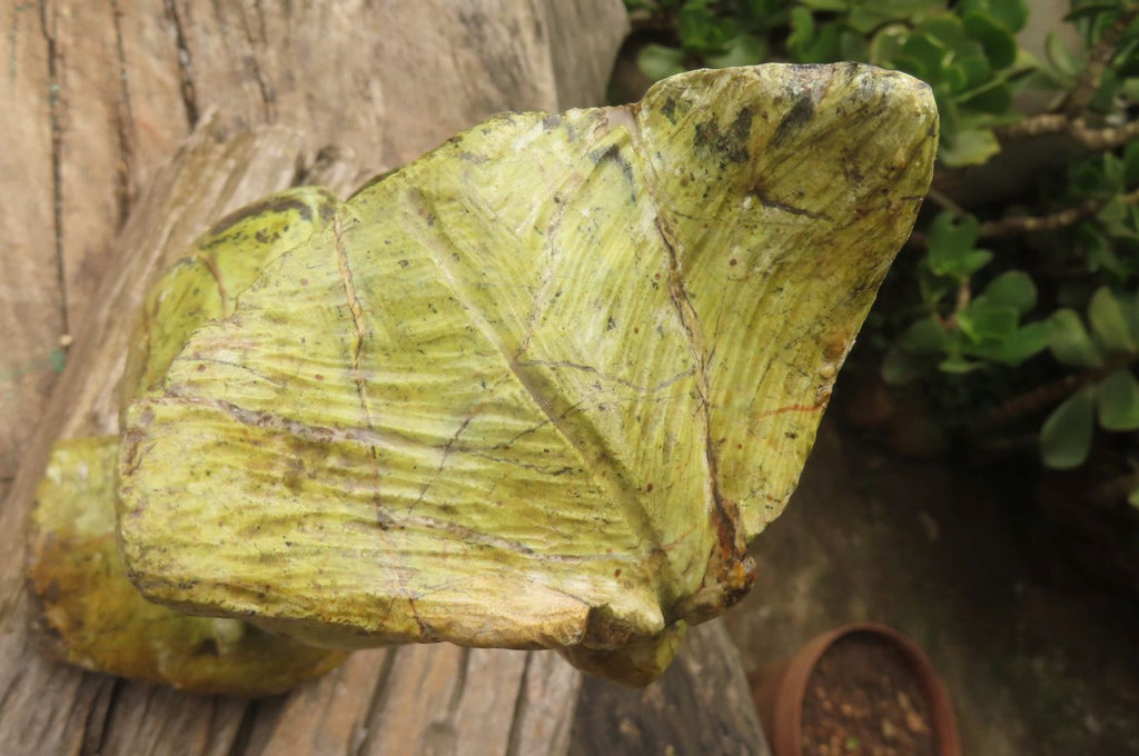 Hand Made Leopard Stone Owl Carving x 1 From Zimbabwe - Toprock Gemstones and Minerals 