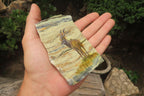 Hand Made Kudu Decoupage Stone Slabs x 6 From Southern Africa - Toprock Gemstones and Minerals 