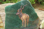 Hand Made Kudu Decoupage Stone Slabs x 6 From Southern Africa - Toprock Gemstones and Minerals 
