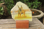Hand Made Kudu Decoupage Stone Slabs x 6 From Southern Africa - Toprock Gemstones and Minerals 