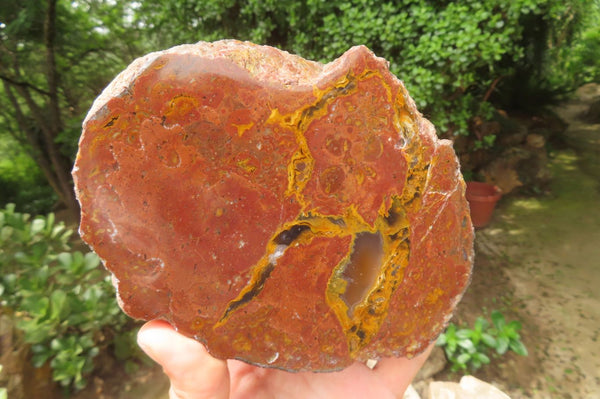 Polished Iron Agate Nodule Pair x 1 From Northern Cape, South Africa
