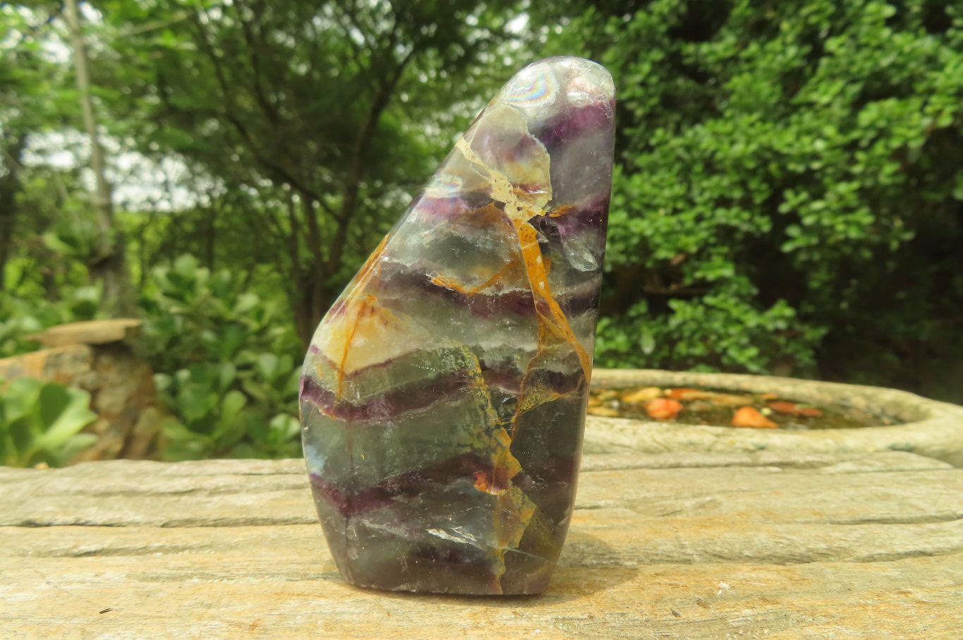 Polished Watermelon Fluorite Free Forms x 6 From Namibia - Toprock Gemstones and Minerals 