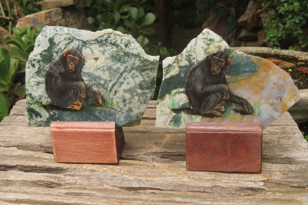 Hand Made Chimpanzee Decoupage Stone Slabs x 6 From Southern Africa - Toprock Gemstones and Minerals 