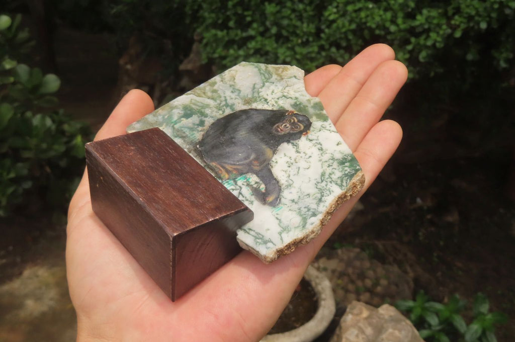 Hand Made Chimpanzee Decoupage Stone Slabs x 6 From Southern Africa - Toprock Gemstones and Minerals 