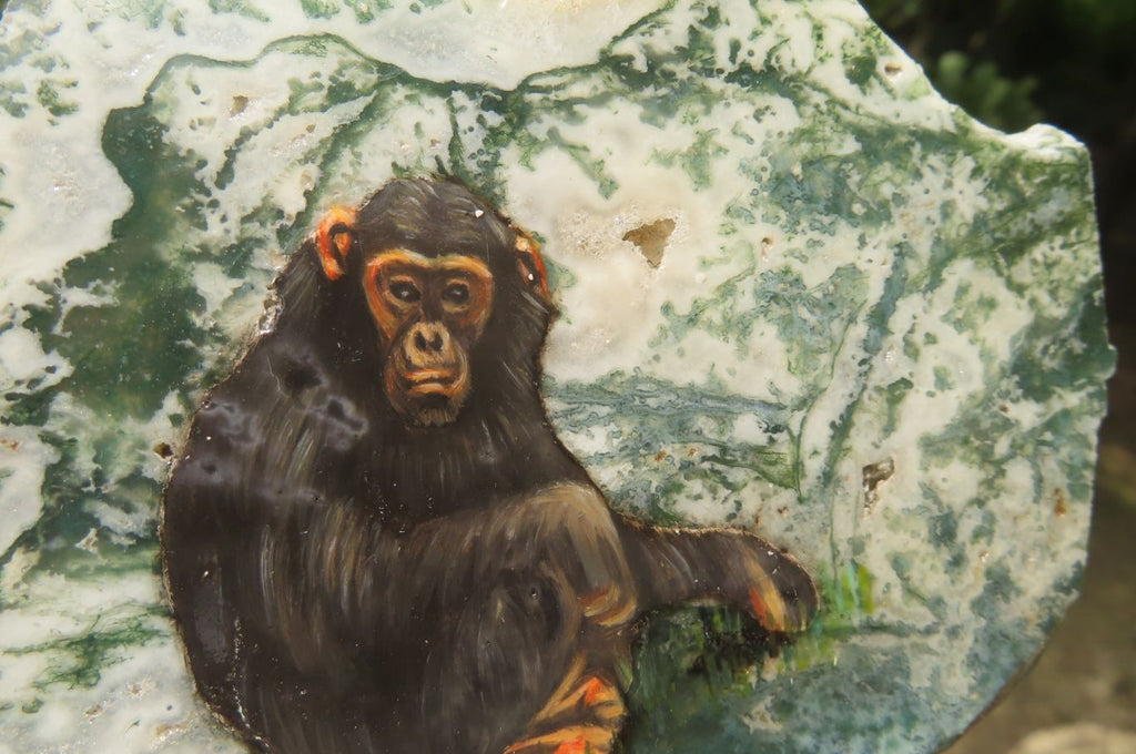 Chimpanzee Rocks Hand Made Chimpanzee Decoupage Stone Slabs x 6 From Southern Africa ...