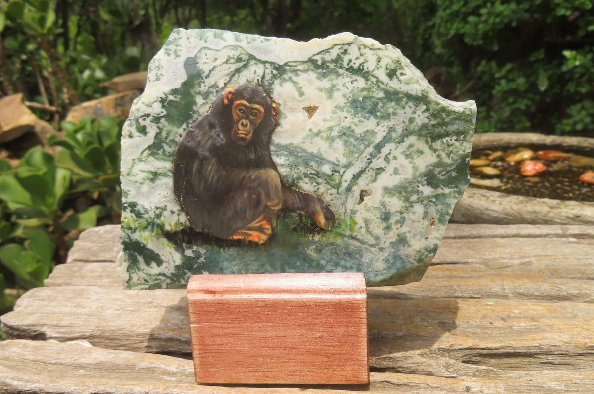 Hand Made Chimpanzee Decoupage Stone Slabs x 6 From Southern Africa - Toprock Gemstones and Minerals 