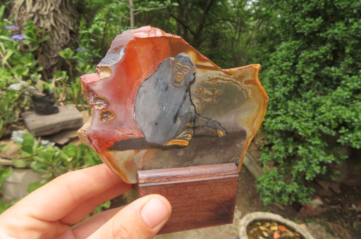Hand Made Chimpanzee Decoupage Stone Slabs x 6 From Southern Africa - Toprock Gemstones and Minerals 