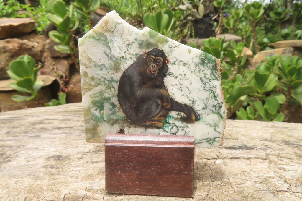 Hand Made Chimpanzee Decoupage Stone Slabs x 6 From Southern Africa - Toprock Gemstones and Minerals 