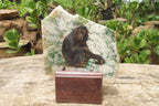 Hand Made Chimpanzee Decoupage Stone Slabs x 6 From Southern Africa - Toprock Gemstones and Minerals 