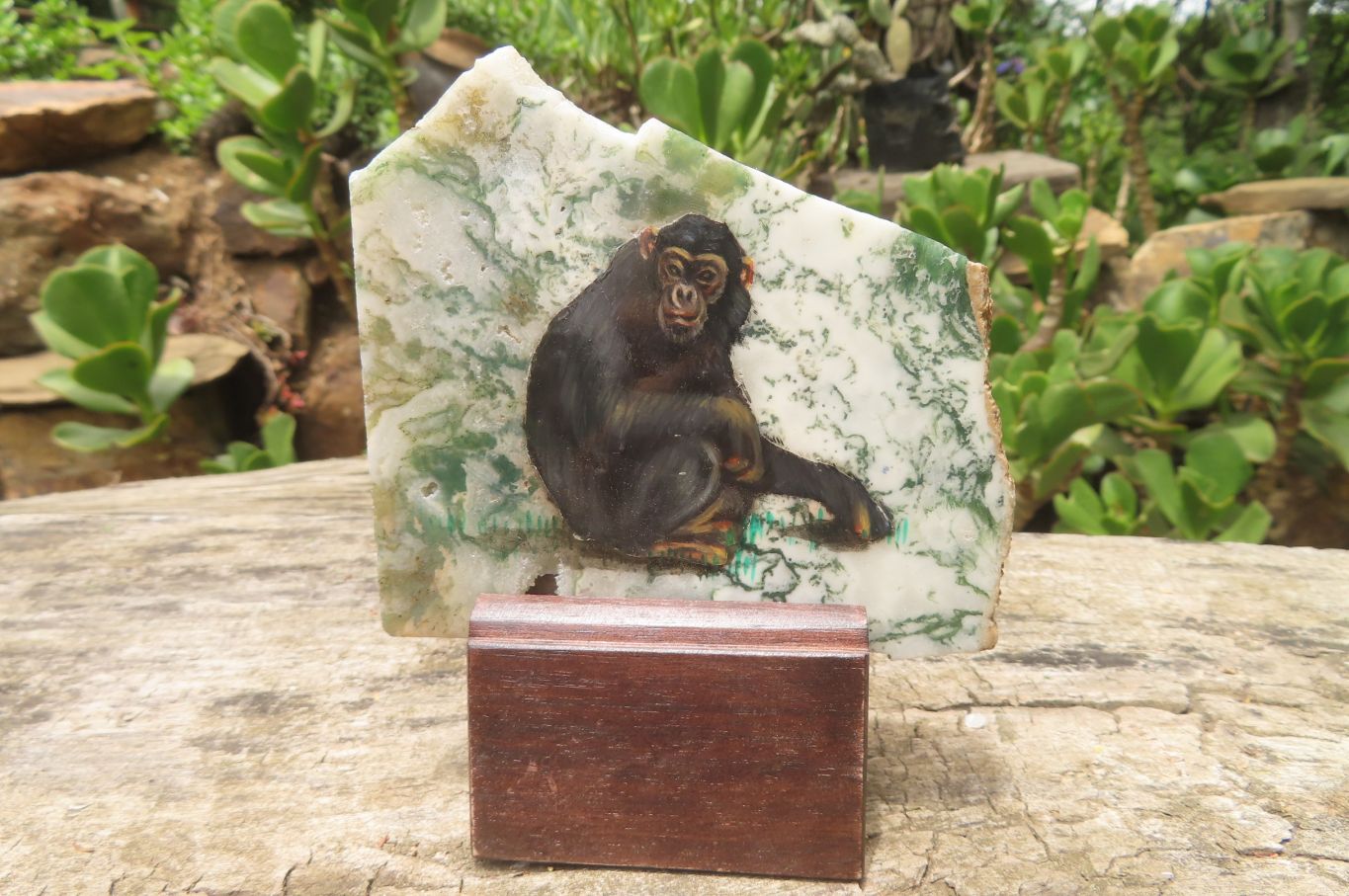 Hand Made Chimpanzee Decoupage Stone Slabs x 6 From Southern Africa - Toprock Gemstones and Minerals 