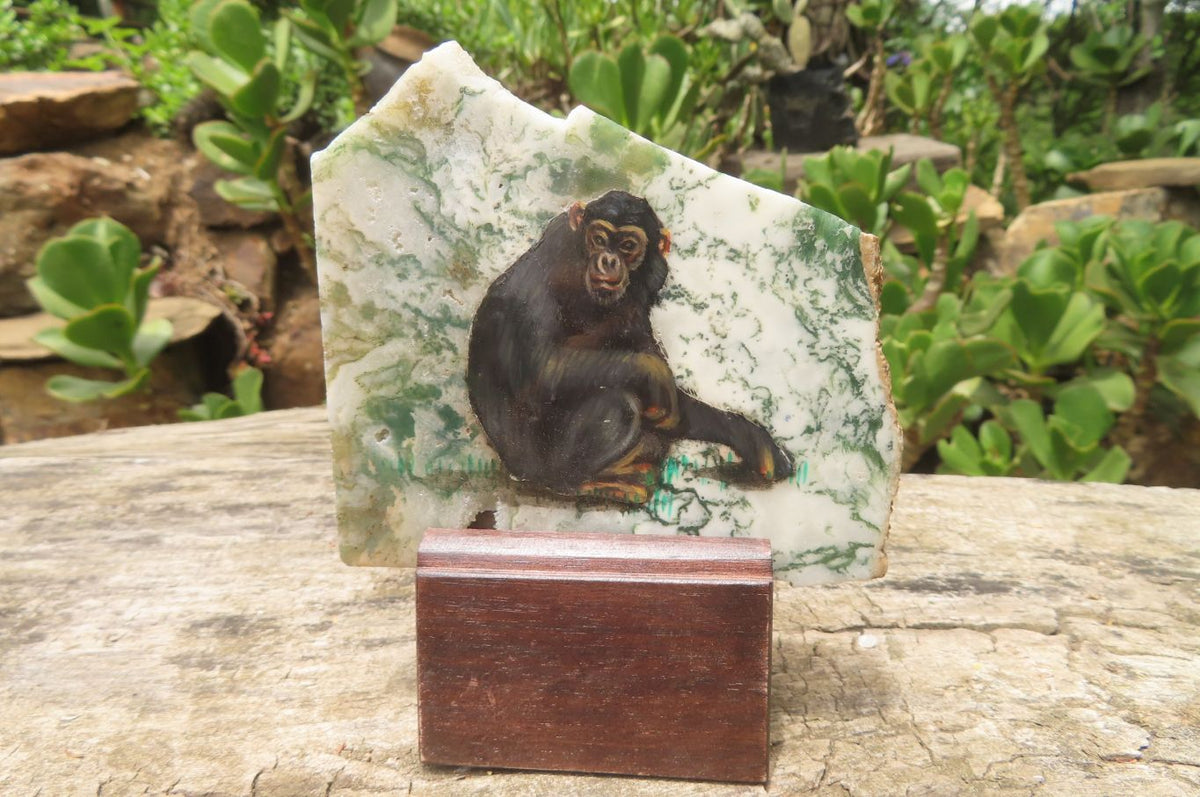 Hand Made Chimpanzee Decoupage Stone Slabs x 6 From Southern Africa - Toprock Gemstones and Minerals 
