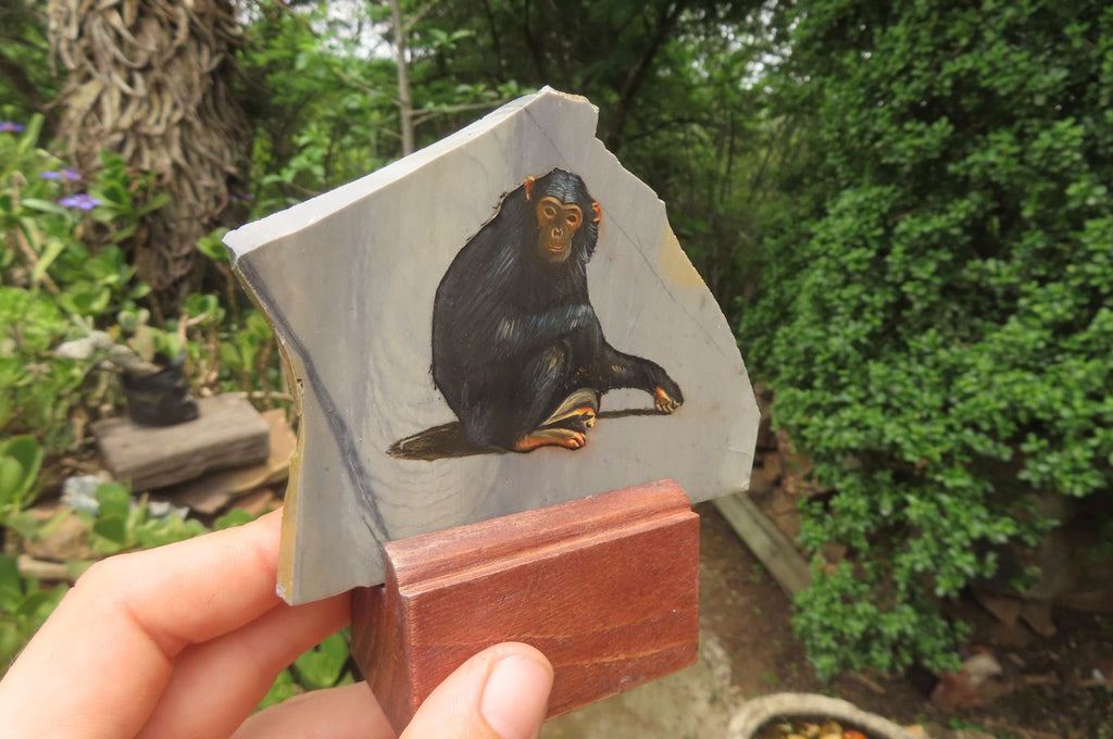 Hand Made Chimpanzee Decoupage Stone Slabs x 6 From Southern Africa - Toprock Gemstones and Minerals 