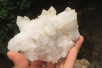 Natural Quartz Clusters x 8 From Madagascar - Toprock Gemstones and Minerals 