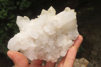 Natural Quartz Clusters x 8 From Madagascar - Toprock Gemstones and Minerals 