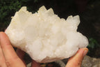 Natural Quartz Clusters x 8 From Madagascar - Toprock Gemstones and Minerals 
