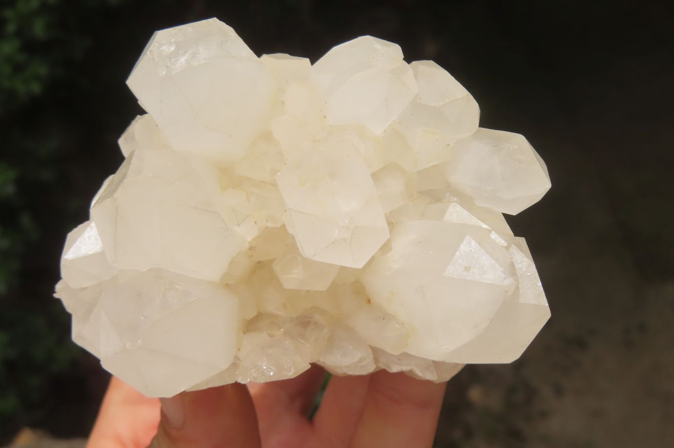 Natural Quartz Clusters x 8 From Madagascar - Toprock Gemstones and Minerals 